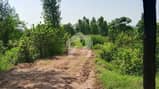 23 23