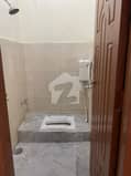 7 7