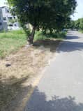 6 6