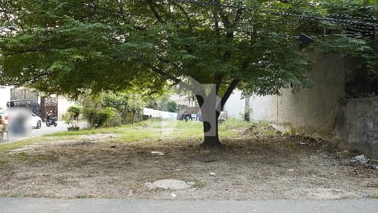 10 Marla Plot For Sale In C Block
