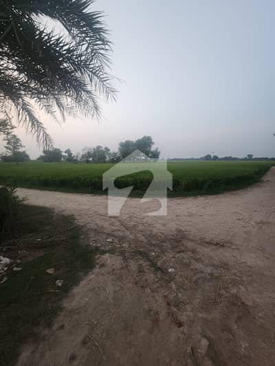10 Acre Farmhouse Land for Sale Barki Road, Lahore