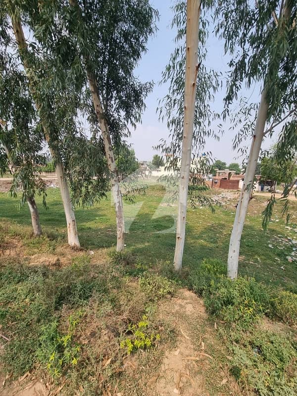 27 Marla Plot Available On Main Firozpur Road 27 Marla Plot Available On Main Firozpur Road