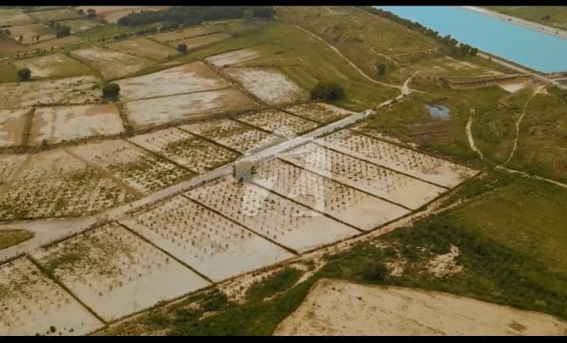 5 Kanal Orchard Farm House Land For Sale 5 Kanal Orchard Farm House Land For Sale