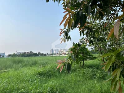 Executive Block 5 Kanal Develop Possession Plot Highted Location Available For Sale Executive Block 5 Kanal Develop Possession Plot Highted Location Available For Sale