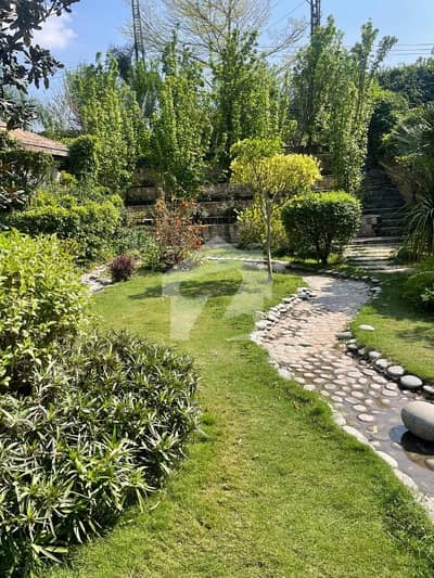 15 Bedrom full house with extra land available for rent in F11