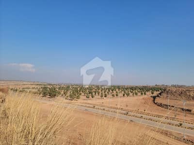 8 Marla Plot For Sale Bluebell