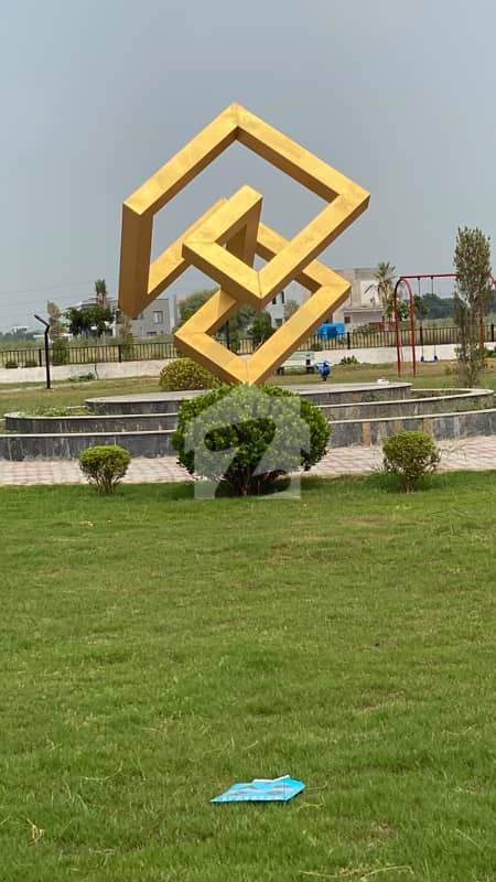 6 6