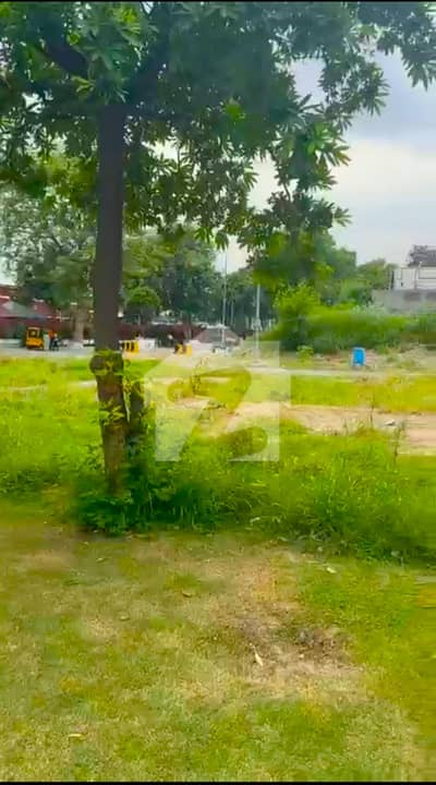 3 Kanal Corner Plot for 3 Families | One Land, Three Dream Homes | DHA Phase 5 Lahore