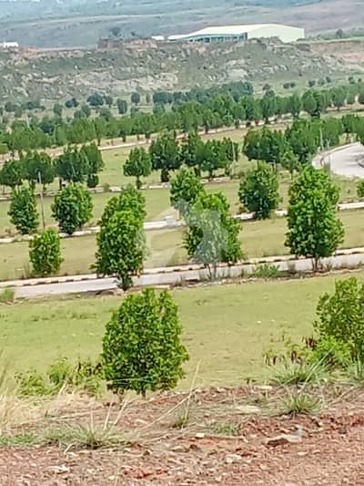 ڈی ایچ اے ویلی - بلیوبیل سیکٹر ڈی ایچ اے ویلی,ڈی ایچ اے ڈیفینس,اسلام آباد میں 8 مرلہ رہائشی پلاٹ 76.5 لاکھ میں برائے فروخت۔