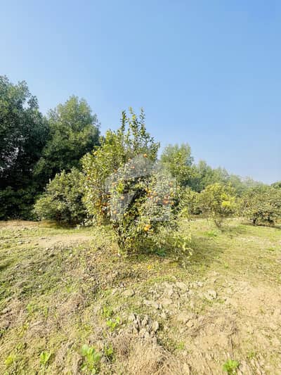 8 Kanal Plot For Sale DHA Phase 10