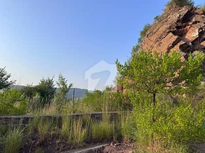 Immediate Possession | Elevated Plot, Sec C | 2,500 Sq. Yds. Immediate Possession | Elevated Plot, Sec C | 2,500 Sq. Yds.