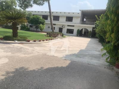 CARPET FACTORY FOR SALE