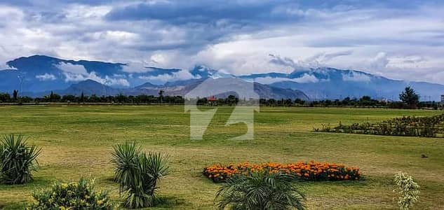 Low Price Plot | Well developed area | Near to BRT Stop
