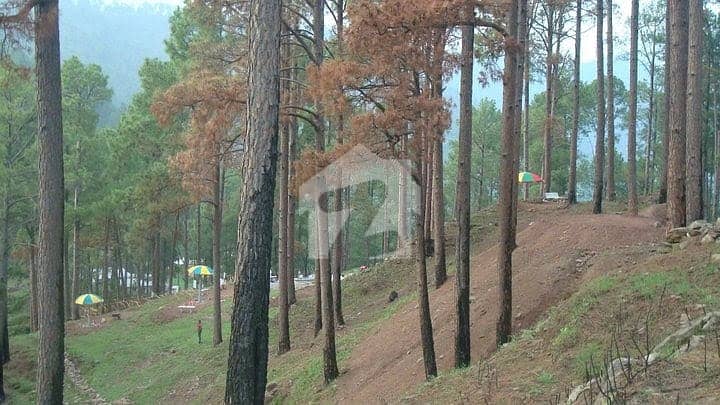 نیو مری مری میں 80 کنال رہائشی پلاٹ 32.0 کروڑ میں برائے فروخت۔ نیو مری مری میں 80 کنال رہائشی پلاٹ 32.0 کروڑ میں برائے فروخت۔