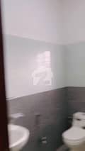 7 7