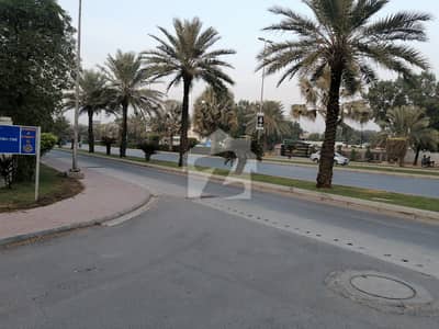 Most Beautiful And Very Easy Approached Of Overseas A
