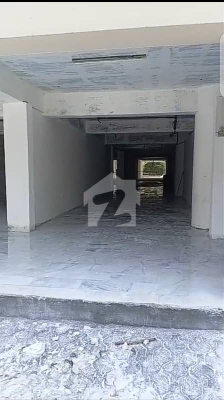 6 6
