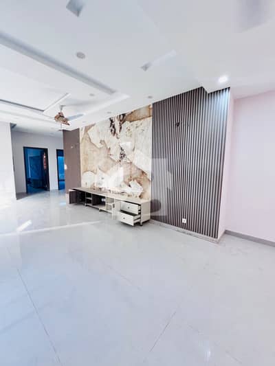 Beautiful Basement For Rent