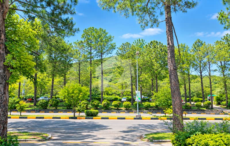 Beautiful 1000 SQYD House in Margalla Road Islamabad Beautiful 1000 SQYD House in Margalla Road Islamabad