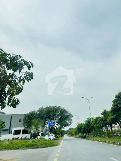 1250 Square Feet Residential Plot Ideally Situated In D-12/3