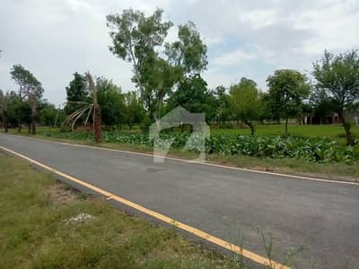 1 Kanal Farm Houses & Land For Sale In Sofia Farm House Main Bedian Road