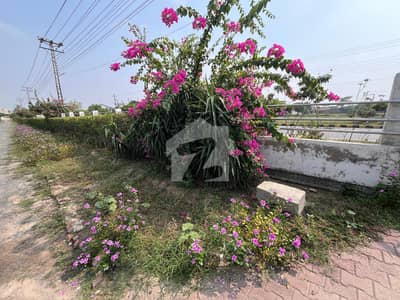 Premium 1 Kanal Plot in AWT Phase 2 Excellent Location