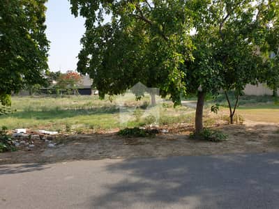 1 Kanal Prime Residential Pair Plots For Sale DHA Phase 7, Q Block