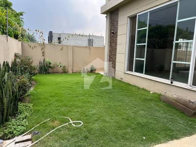 D H A Lahore 1 Kanal Mazher Munir Design House Fully Basement With 100% Original Pics Available For Rent