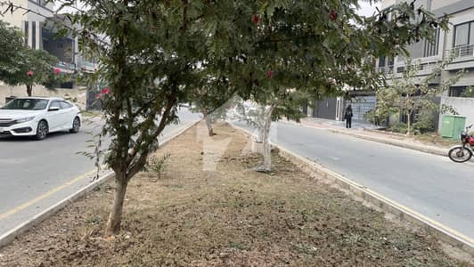 5 Marla Builder Location Plot In Jinnah Block Excellent Location Walking Distance From Park 5 Marla Builder Location Plot In Jinnah Block Excellent Location Walking Distance From Park