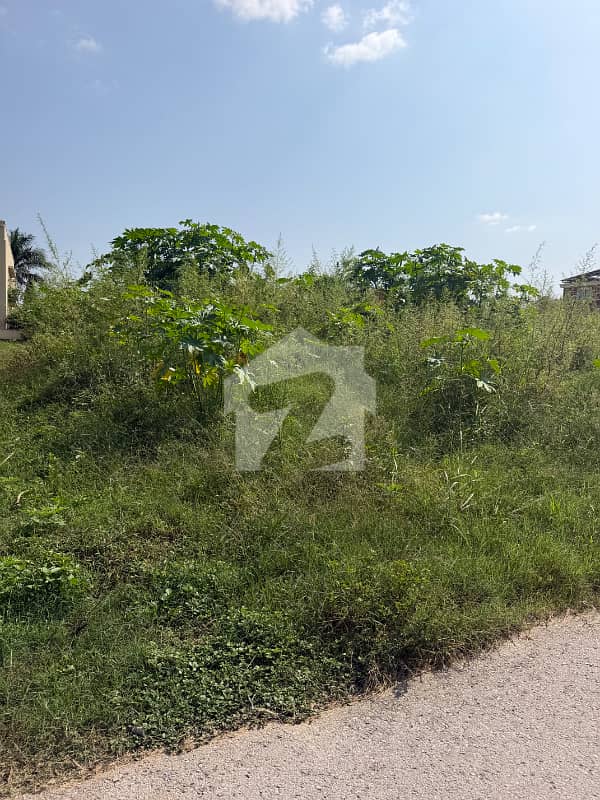 ای ۔ 12/3 ای ۔ 12,اسلام آباد میں 10 مرلہ رہائشی پلاٹ 3.9 کروڑ میں برائے فروخت۔ ای ۔ 12/3 ای ۔ 12,اسلام آباد میں 10 مرلہ رہائشی پلاٹ 3.9 کروڑ میں برائے فروخت۔