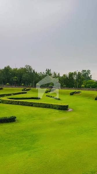 Category plot for sale