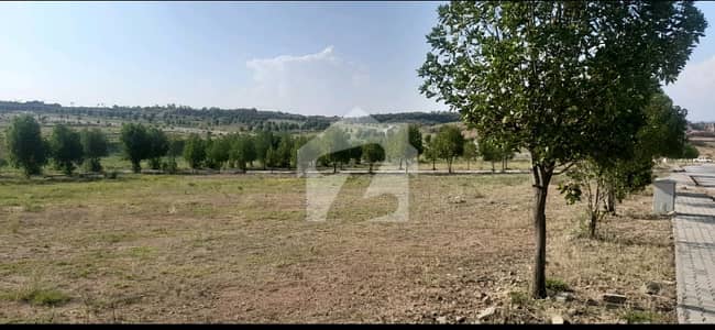 DHA Phase 6 Sector C2 Heighted Plot For Sale