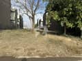 4 4