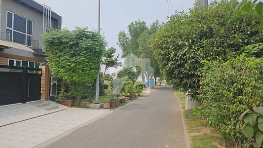 1 Kanal Facing Pine Avenue Plot For Sale