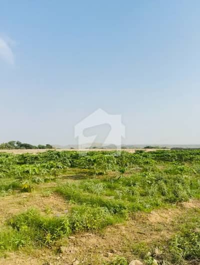درسنو چنا گداپ ٹاؤن,کراچی میں 21 کنال زرعی زمین 14.0 کروڑ میں برائے فروخت۔