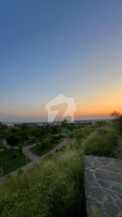 1 Kanal Full House For Rent In D-12 Islamabad