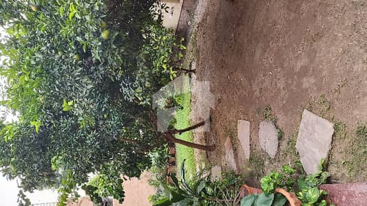 6000sqft Independent Building Available For Rent On Main Road