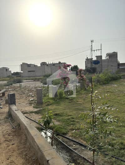 انک سٹی ۔ فیز 2 انک سٹی,جامشورو روڈ,حیدر آباد میں 8 مرلہ رہائشی پلاٹ 1.75 کروڑ میں برائے فروخت۔