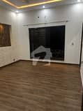 6 6