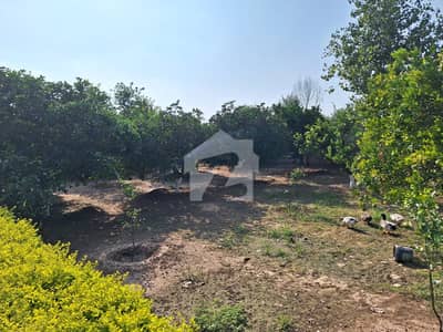 3 Kanal Farm House For Sale Islamabad Farm House, Adiala Road
