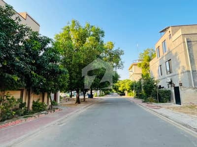 1 Kanal Residential Plot Available For Sale In Baria Town Tulip Block 1 Kanal Residential Plot Available For Sale In Baria Town Tulip Block