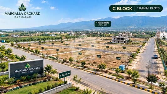 Residential Plot For sale In Beautiful Margalla Orchard