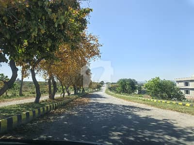 10 Marla Plot For Sale In C Block | 40 Feet Road | Prime Location