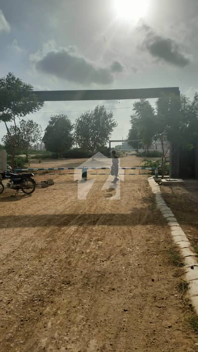 Single Belt Direct From Owner Plot For Sale