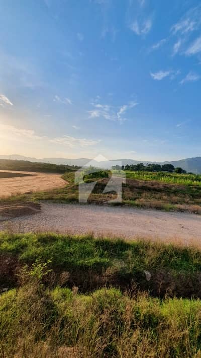Get In Touch Now To Buy A Prime Location Residential Plot In E-12/4 Islamabad