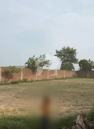 آر یو ڈی اے لاہور میں 3 کنال زرعی زمین 4.5 کروڑ میں برائے فروخت۔