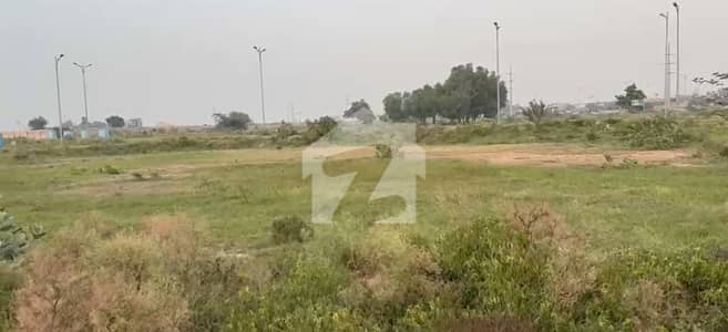 Corner + Facing Park Plot For Sale (Hot Location)