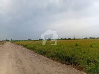 4 Kanal Land Available In Sham Ki Baithiyan Near Multan Road Lahore For Farmhouse, Warehouse & Factory | Ajmair Group