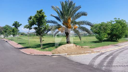 32 Marla Open Transfer Plot On Investor Rate