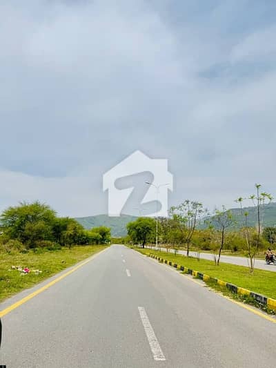 A 3200 Square Feet Residential Plot Is Up For Grabs In D-12/1
